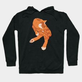 Orange Cat Energy Hoodie